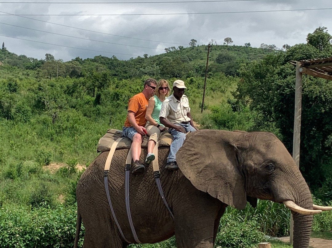 Go Touch Down Travel and Tours-萨拉索塔必去景点