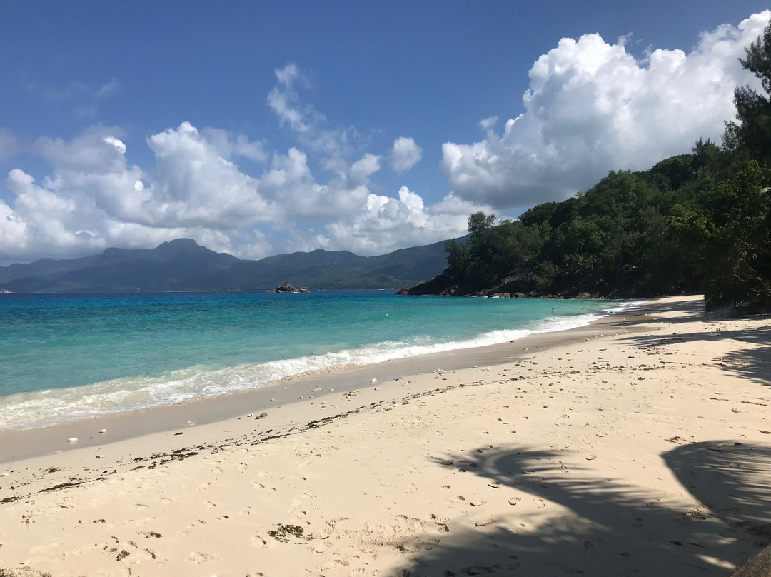 Spiaggia Anse Soleil景点图片
