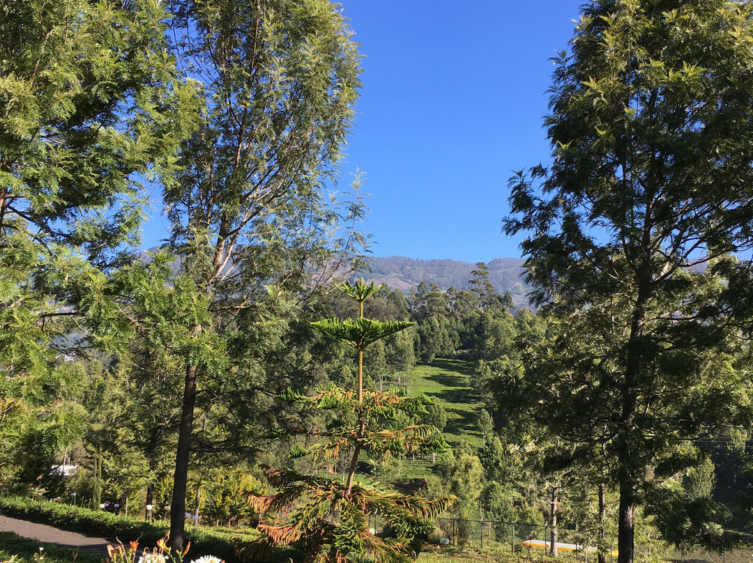 The Clive & Curzon主图