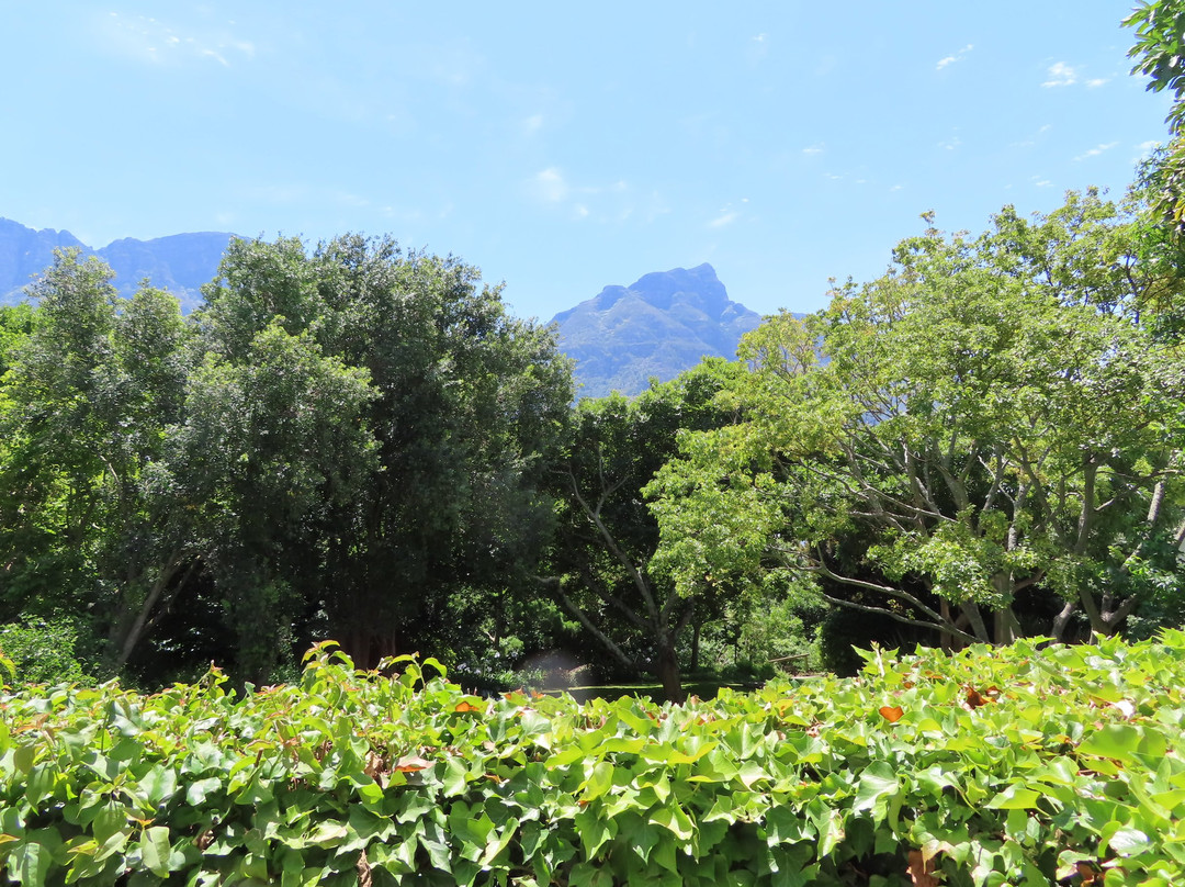 葡萄园温泉酒店主图