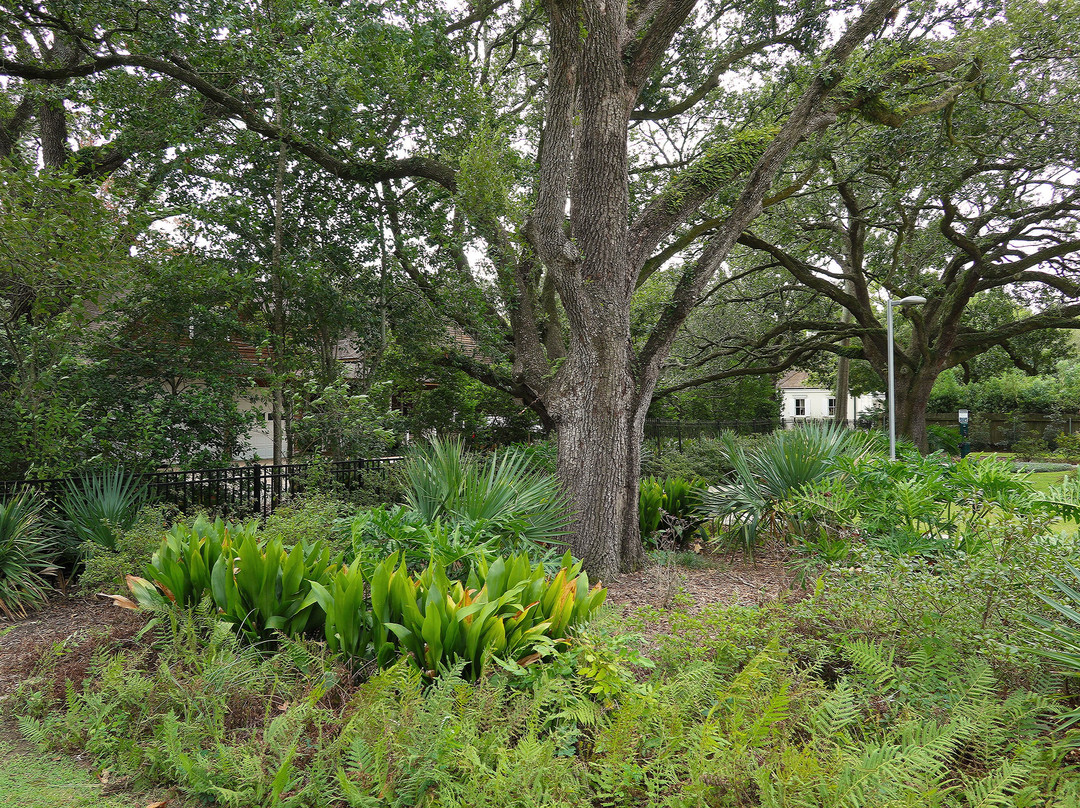 River Ridge Meditation Park景点图片