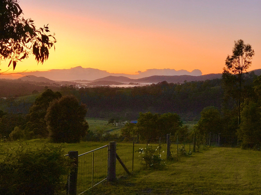 BellbirdHill Bed & Breakfast主图