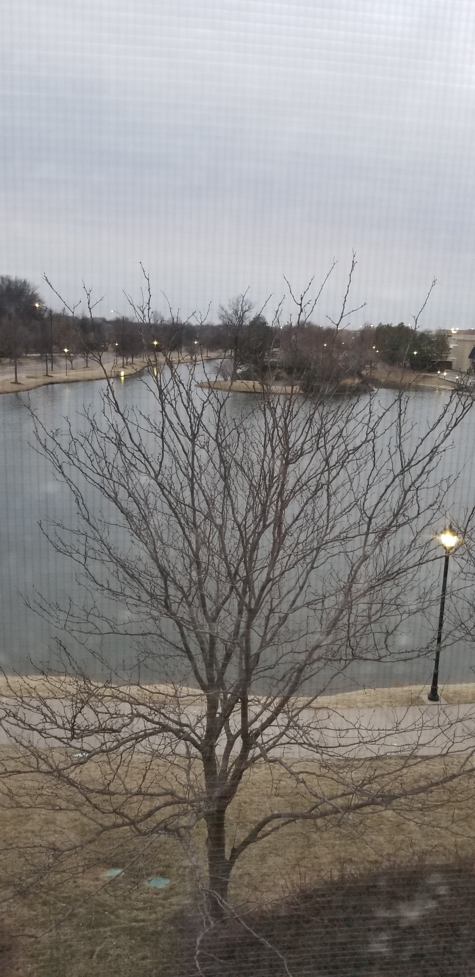 Hilton Garden Inn Wichita-portrait