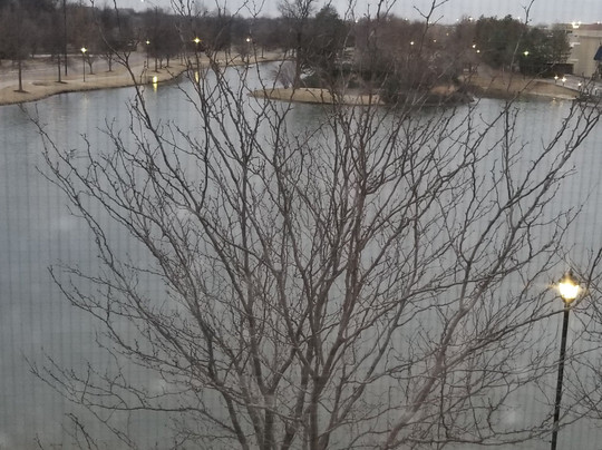 Hilton Garden Inn Wichita主图