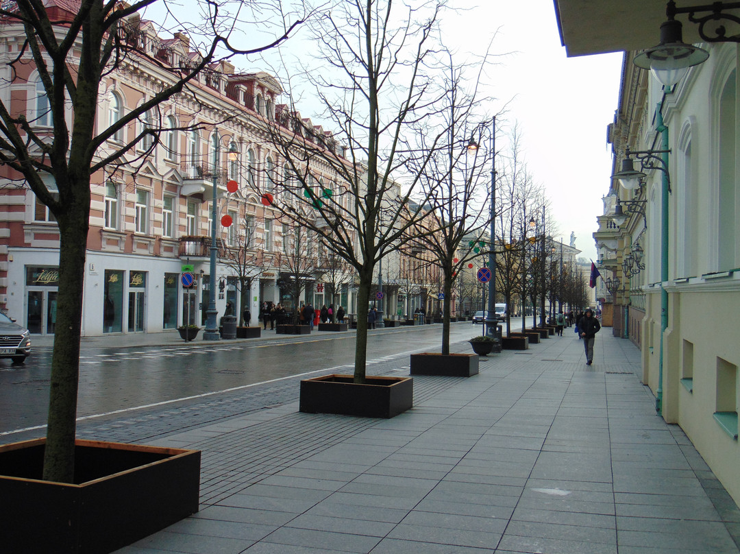 Gediminas Avenue景点图片