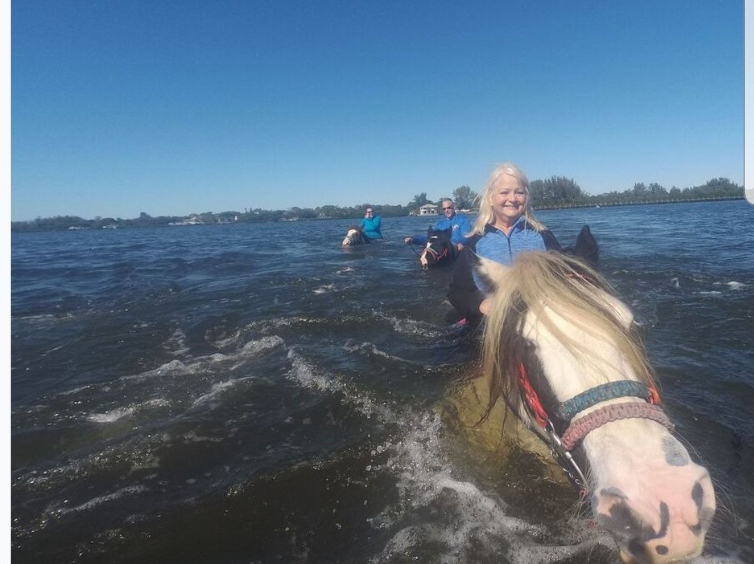 C Ponies Beach Horseback Rides-布雷登顿必去景点