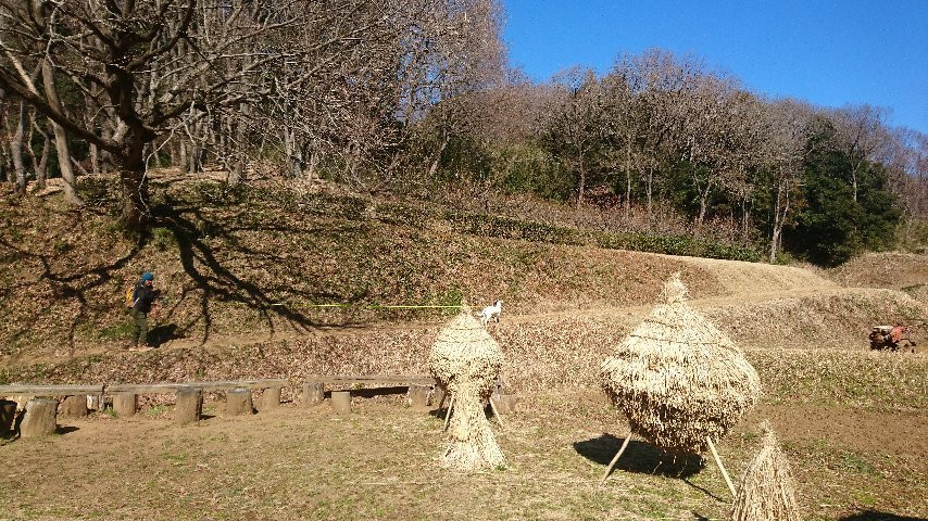 Oyamada Park-町田市必去景点
