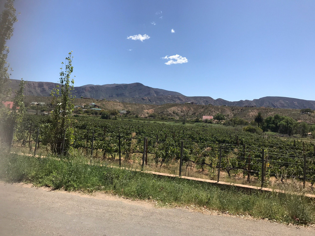 The Queen of Calitzdorp主图