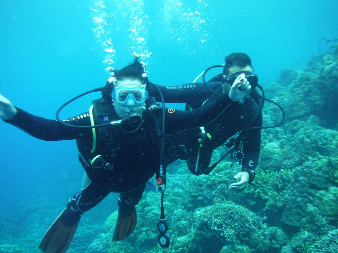 Polaris Beach and Dive Resort主图