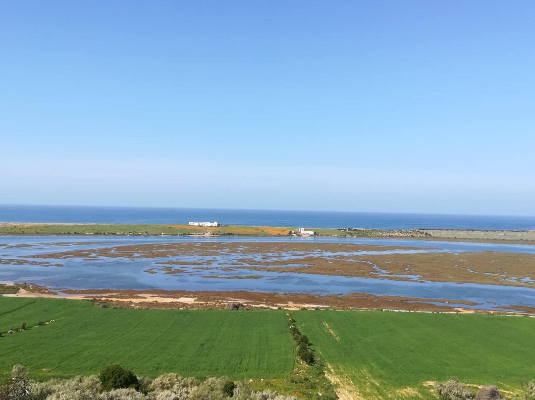 Le Temps Perdu主图