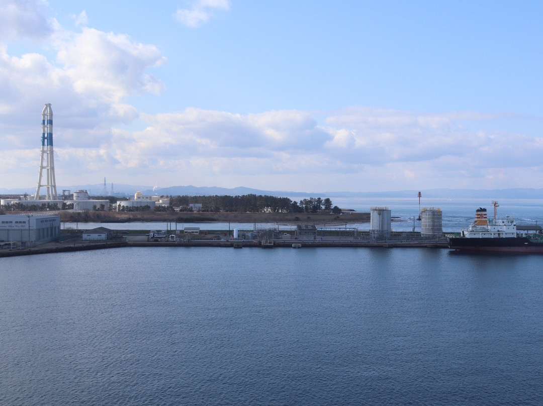 Toyama Shinko Lookout景点图片