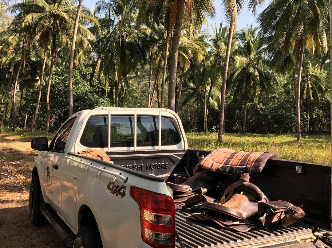 Khaolak Horse Club-拉克山必去景点