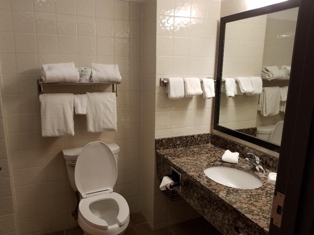 Drury Inn & Suites Amarillo主图