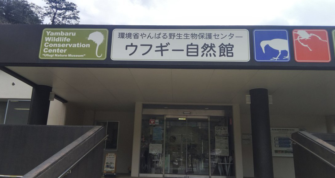 Yambaru Wildlife Center Ufugi Nature Museum景点图片