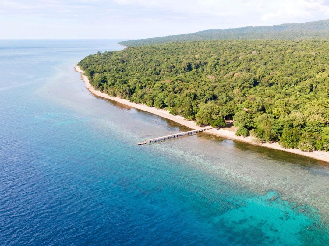 Roctopus Dive Moyo Island景点图片