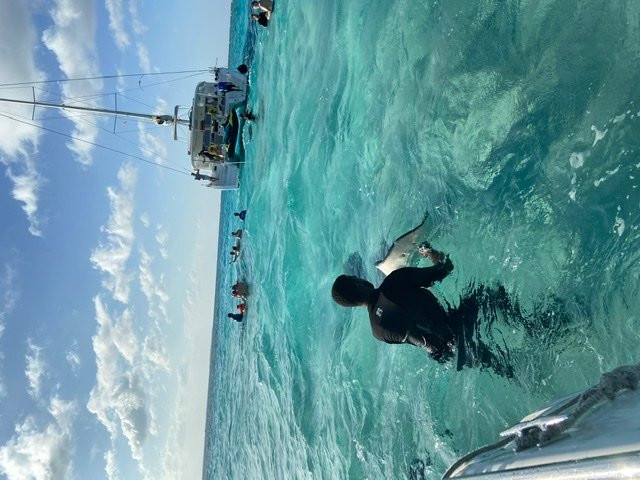 Peace of Cayman-Rum Point必去景点