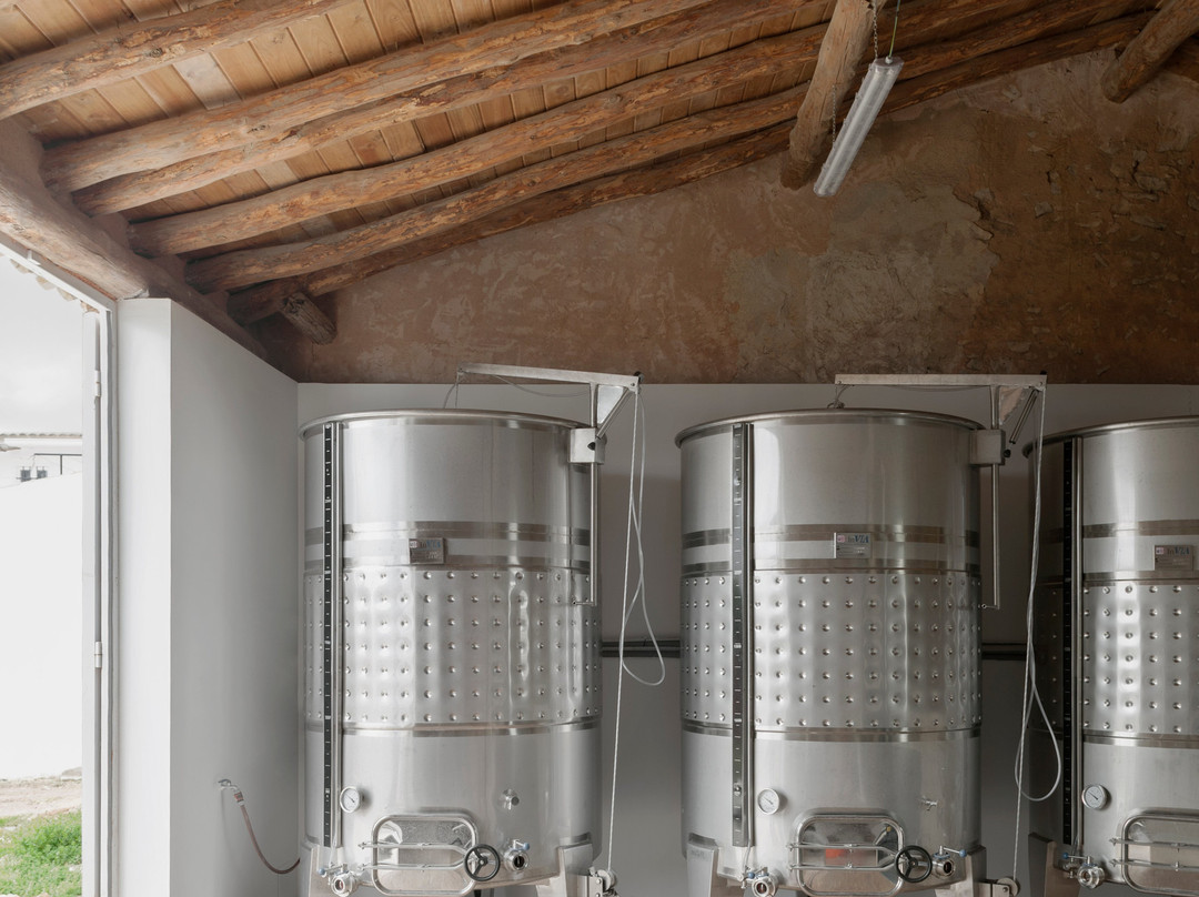 Bodega Dussart Pedron景点图片