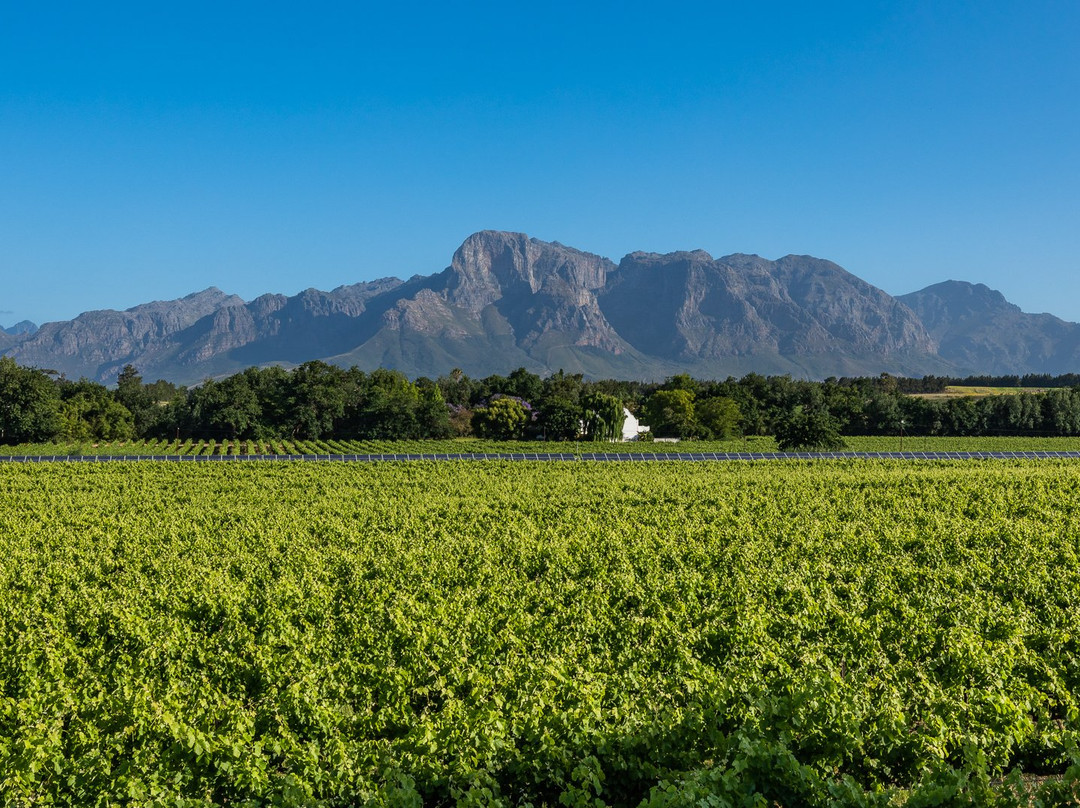 Angala Boutique Hotel主图