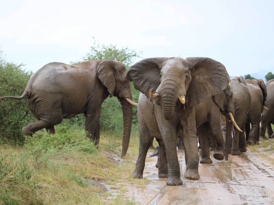 Sandfield Travel-坎帕拉必去景点