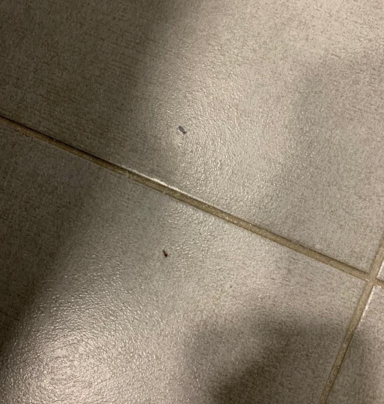 Hostal La Pasajera主图