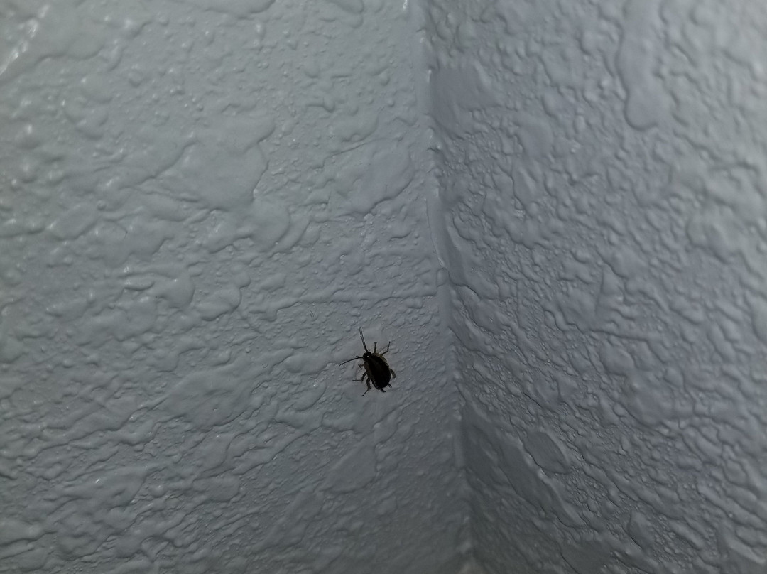 Booneslick Lodge主图