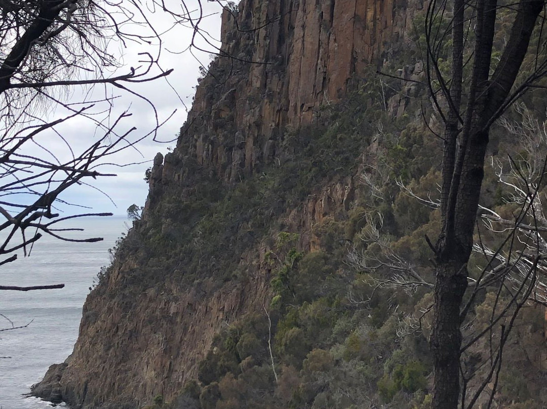 Tasmanian Wilderness Experiences景点图片