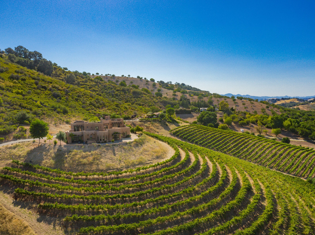 Manucci Winery- Wild Coyote景点图片