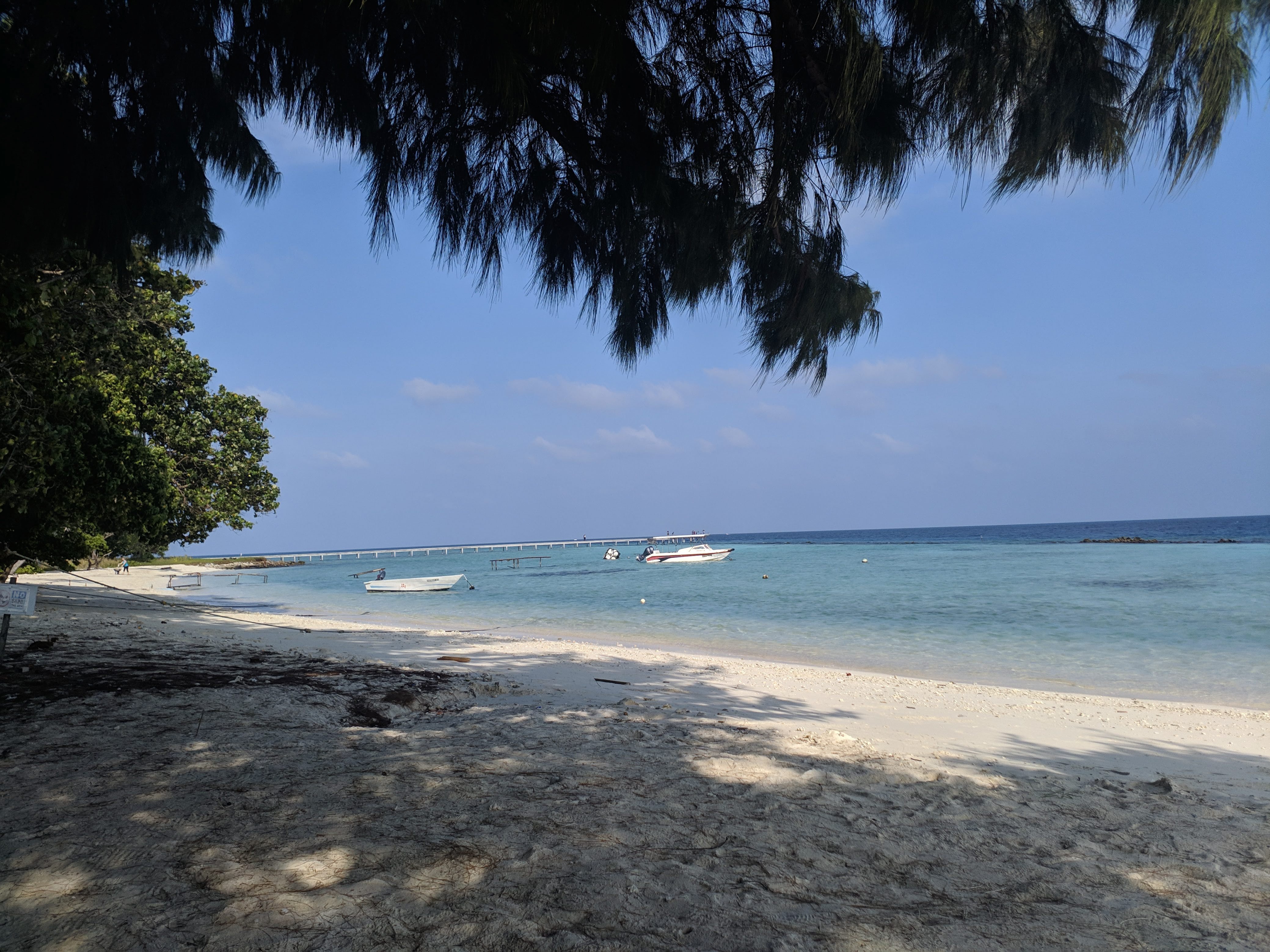 Season Paradise-泳池