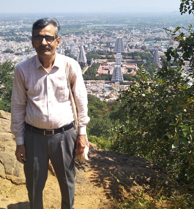 Annamalaiyar Temple View Point景点图片
