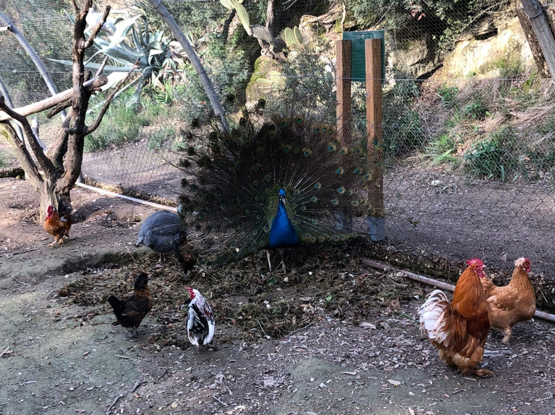 La Ferme du Dolmen景点图片