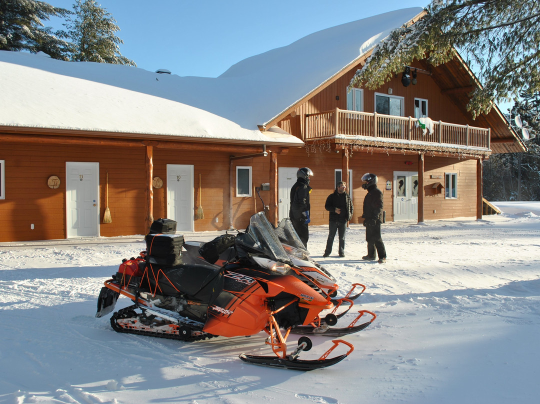 Motel Ours Bleu主图