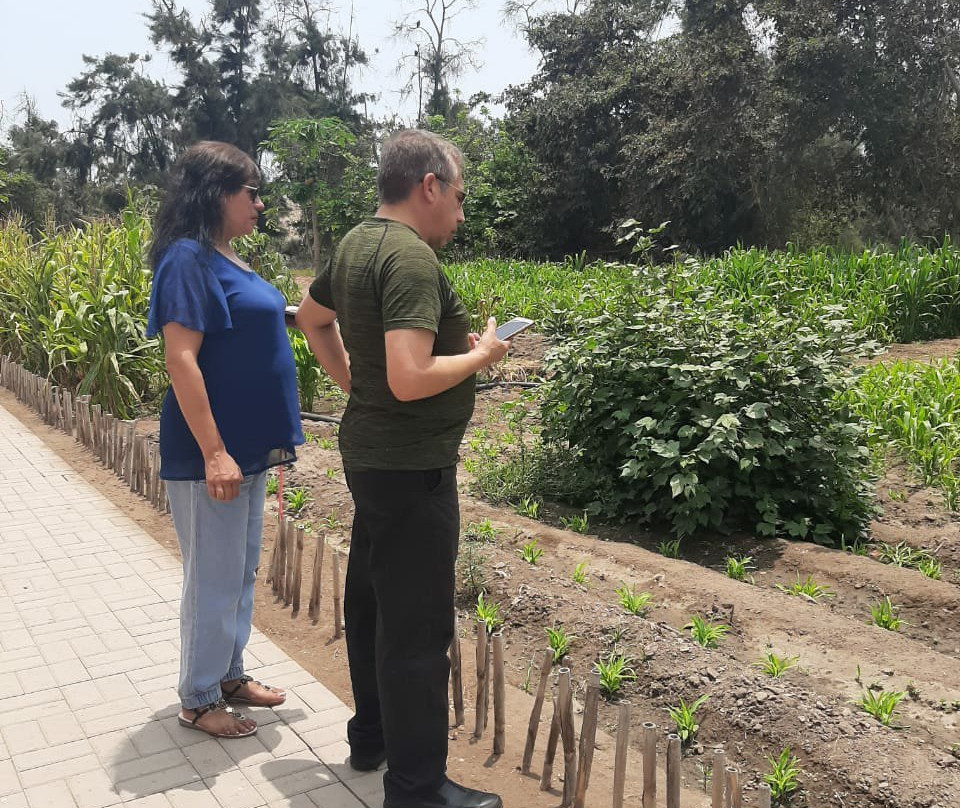 JCP PERU TOURS SAC-利马必去景点