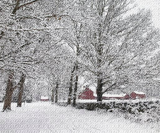 Nathan Hale Homestead-Coventry必去景点