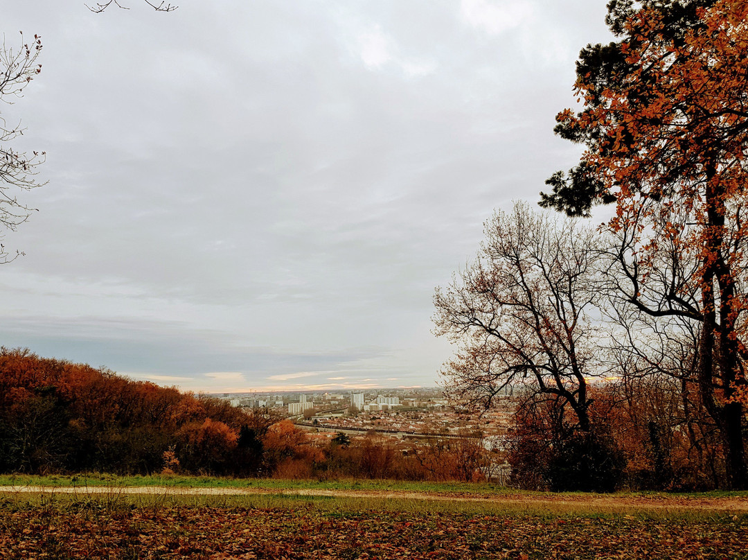 Parc Palmer景点图片