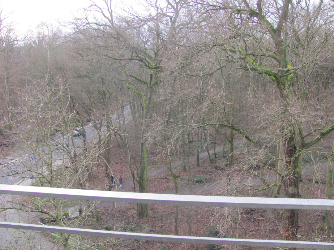 法兰克福展馆Soaltee Hotel by Trip Inn主图