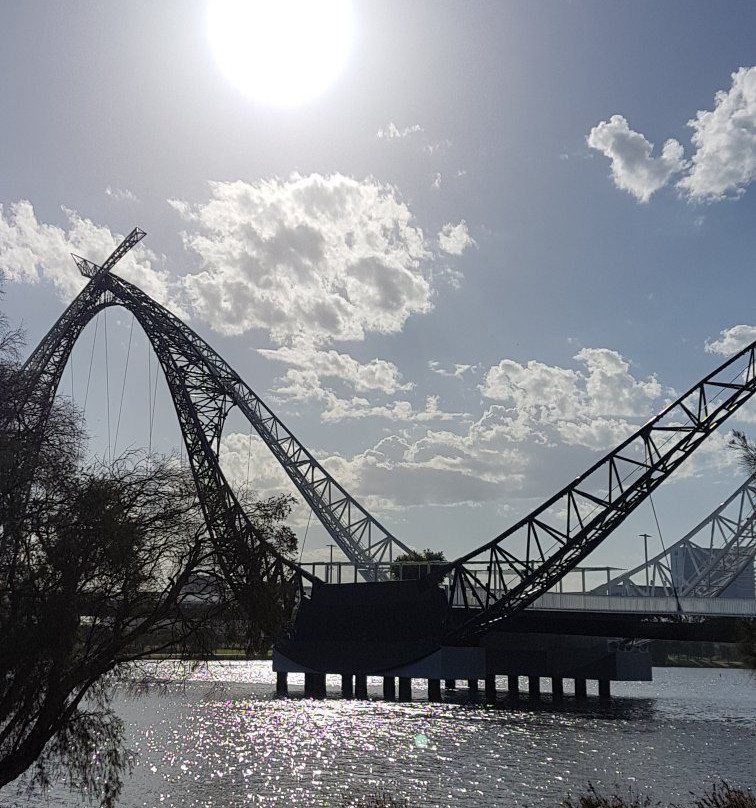Matagarup Bridge景点图片