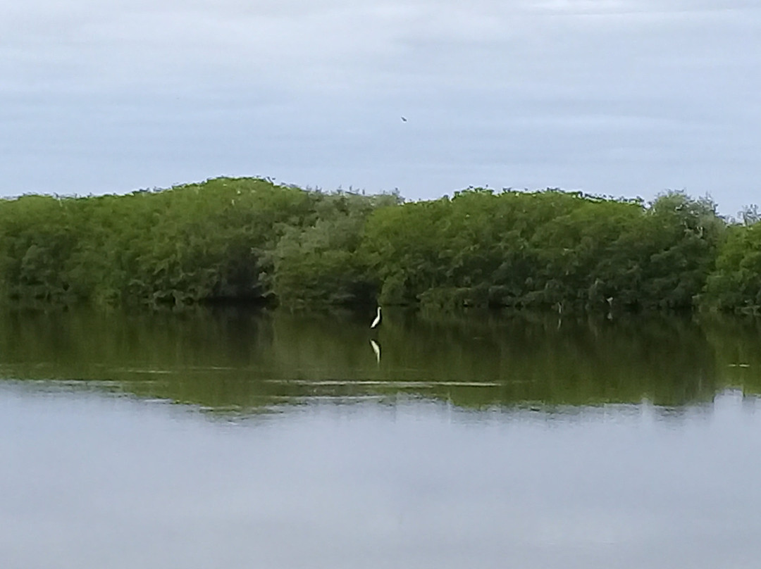 San Blas River-San Blas必去景点