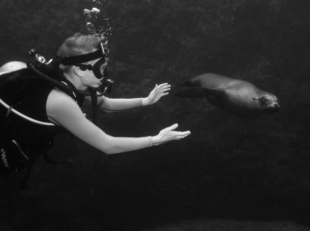 UP Dive-拉巴斯必去景点