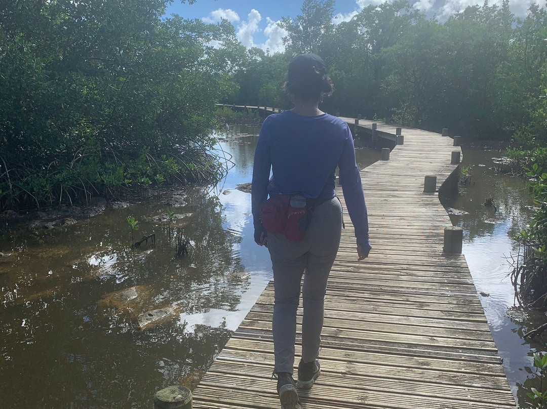 Les Marais de Port-Louis-Port-Louis必去景点