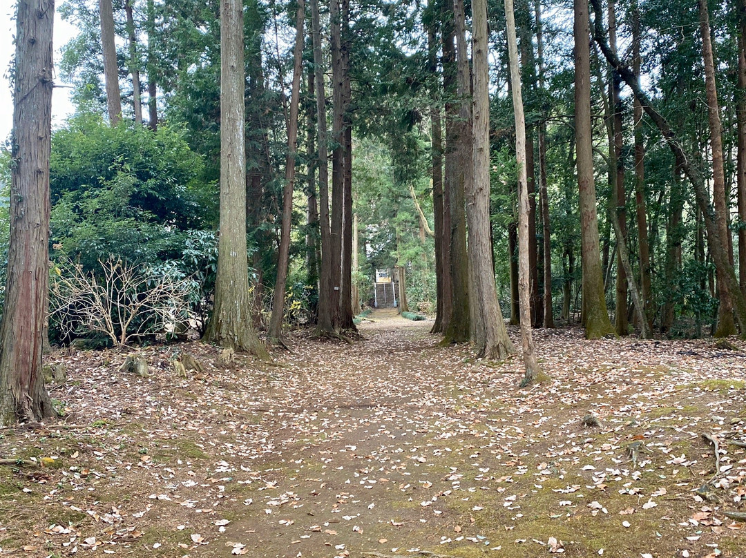 Komatsu-ji Temple景点图片