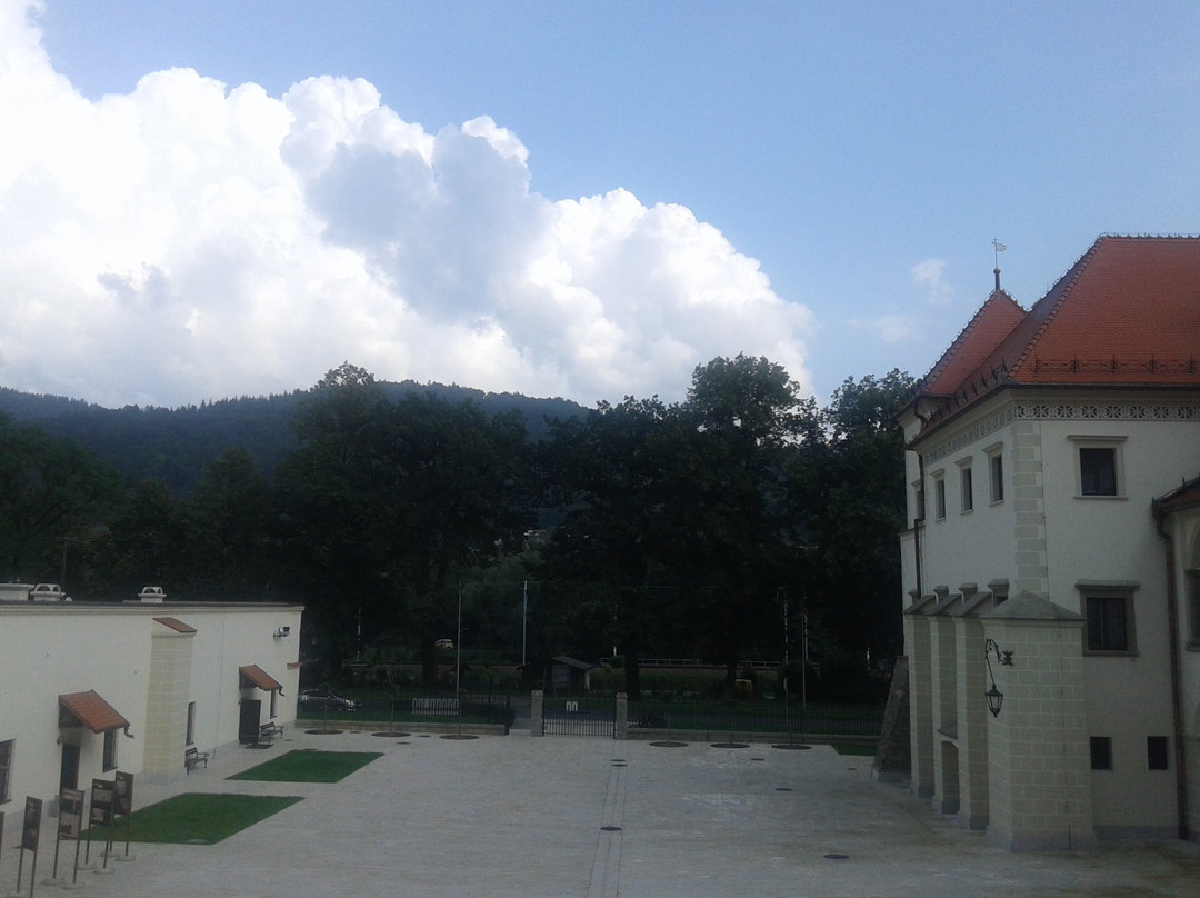 Muzeum Miejskie Suchej Beskidzkiej景点图片