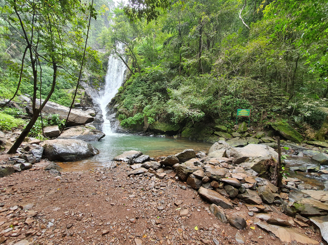 Neturlem Waterfall (Savri)景点图片
