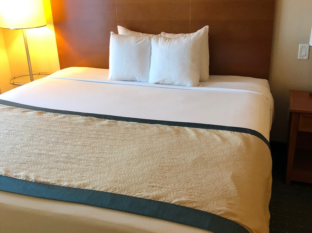 Wingate by Wyndham Richmond Short Pump主图