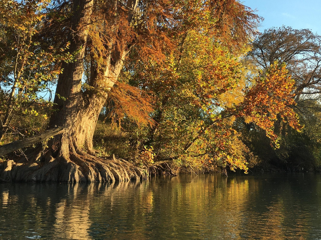 Texas Canoes & Kayaks-圣马科斯必去景点