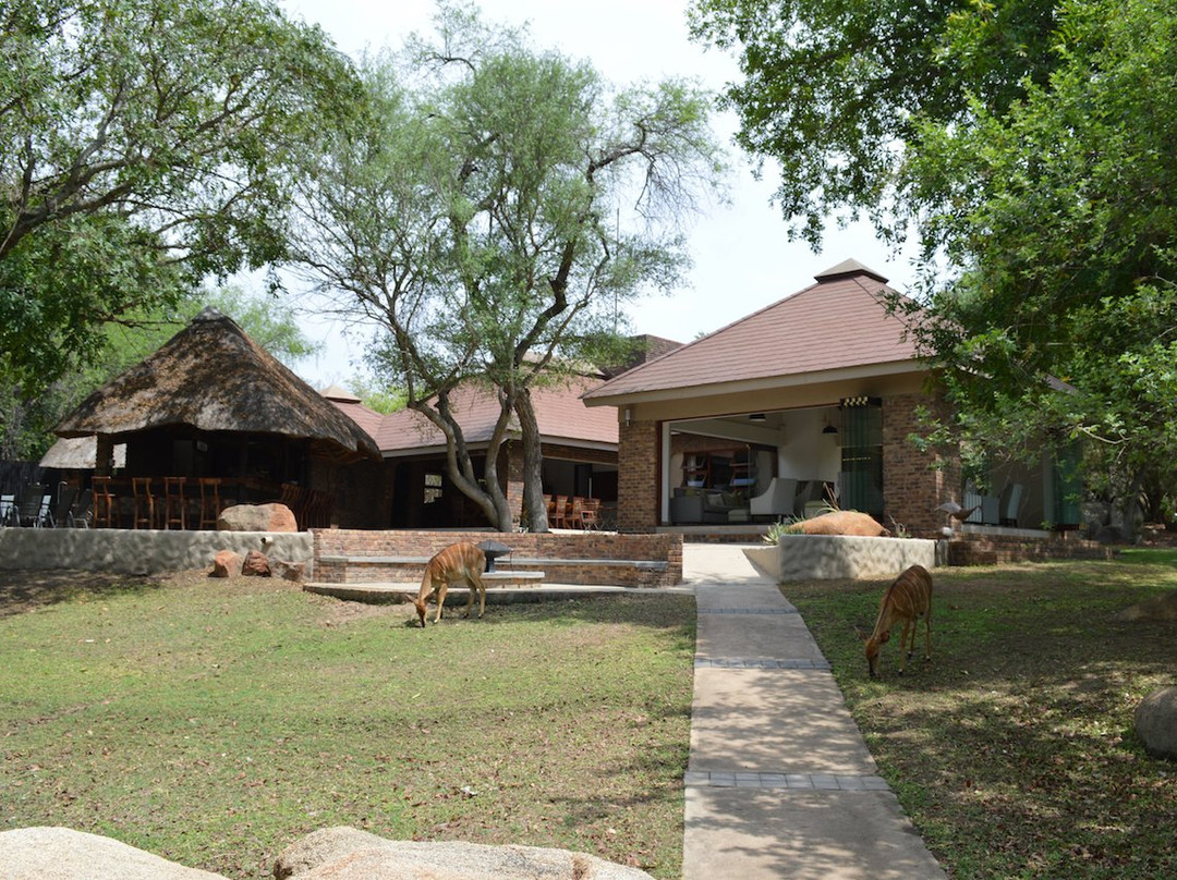 Idube Game Reserve-萨比沙禁猎区必去景点