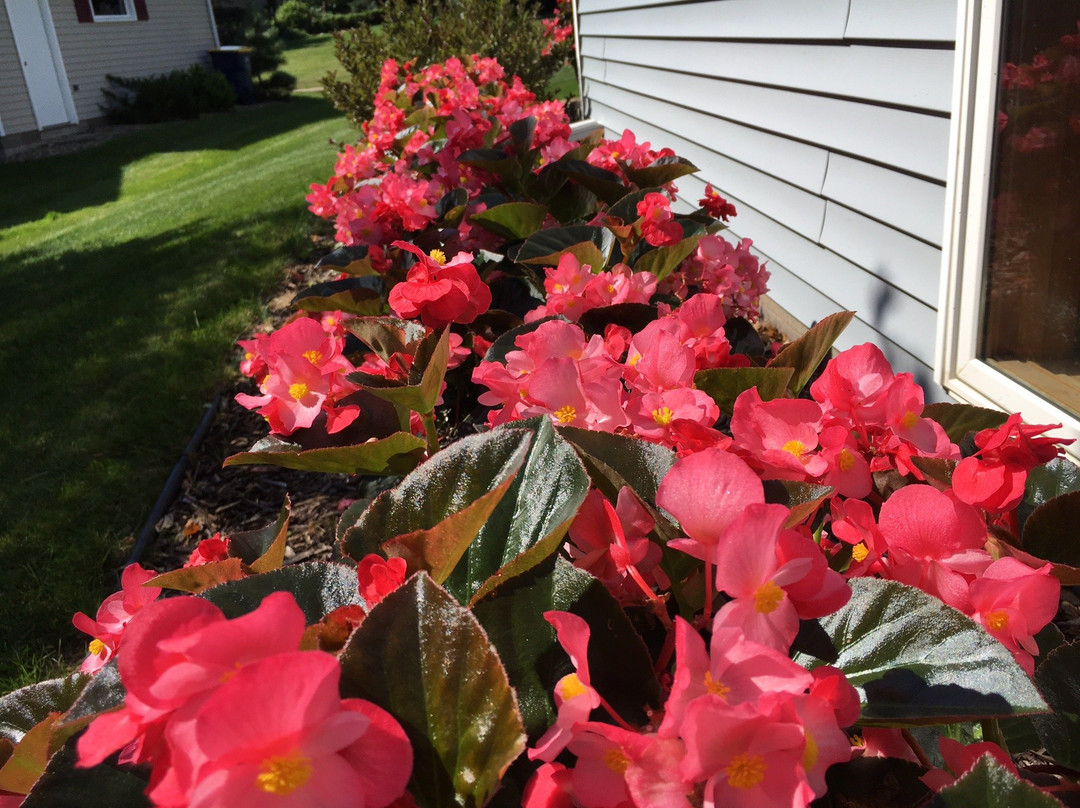 Donahue's Greenhouse-法里博必去景点