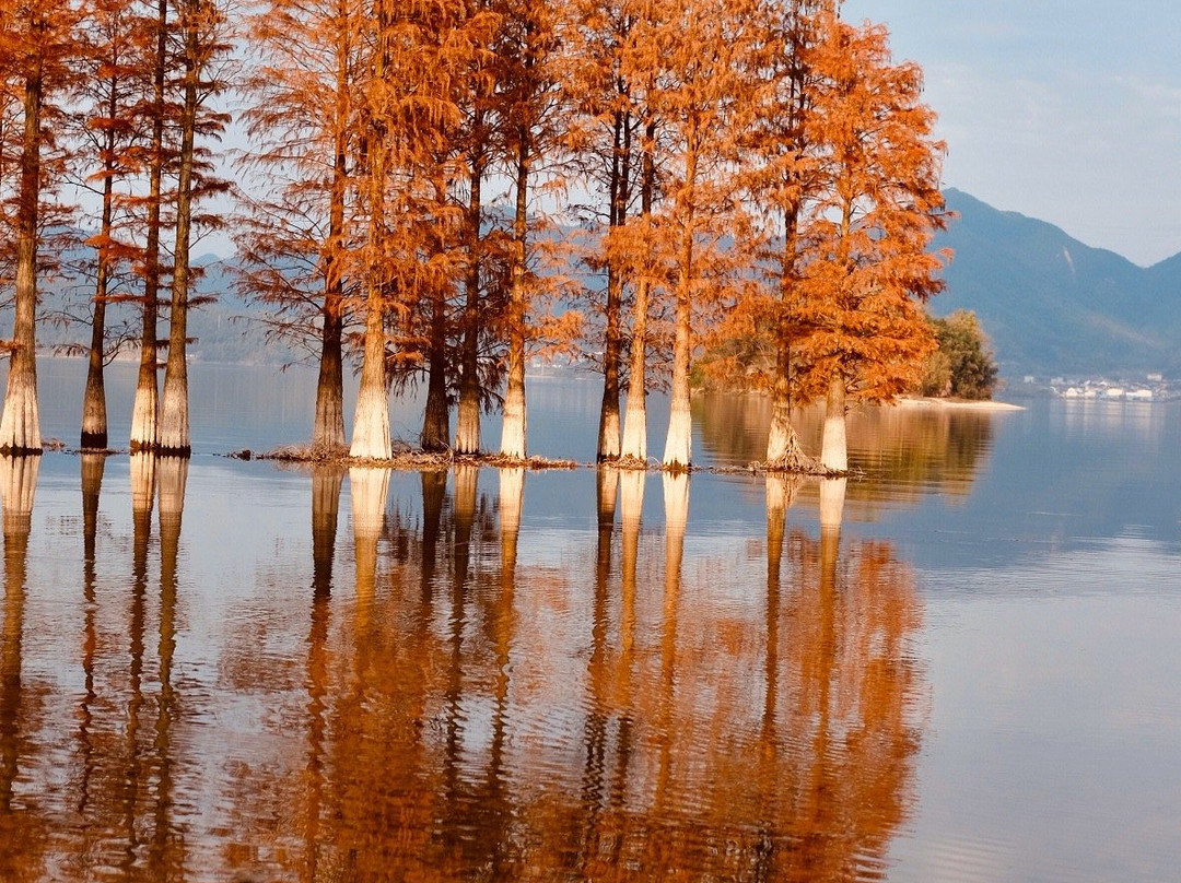 四明湖-余姚市必去景点