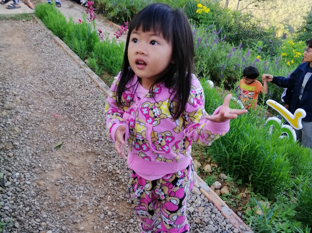 Din Daeng Doi景点图片