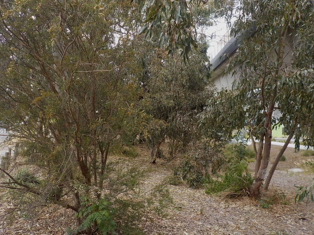 Djerring Trail景点图片