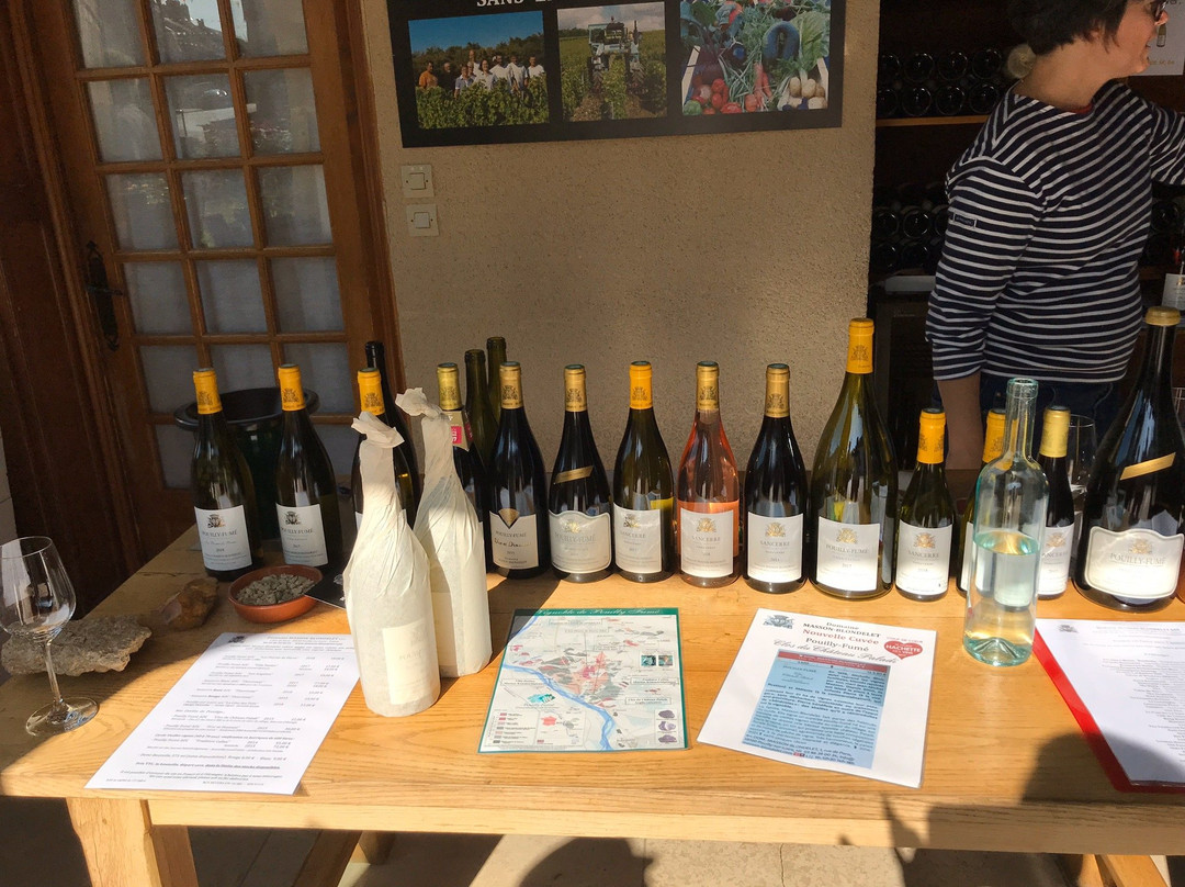 Domaine Masson-blondelet景点图片